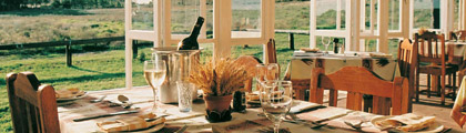 Blue Gum Country Estate Hermanus